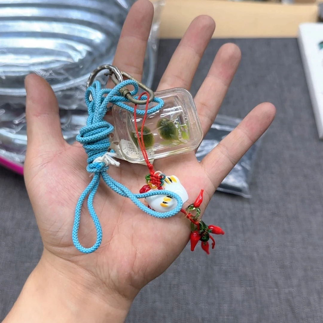 加***宝瓷片恭喜发财大吉大利
