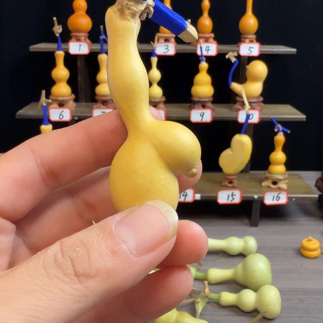 大***花木远距离接触是为了方便