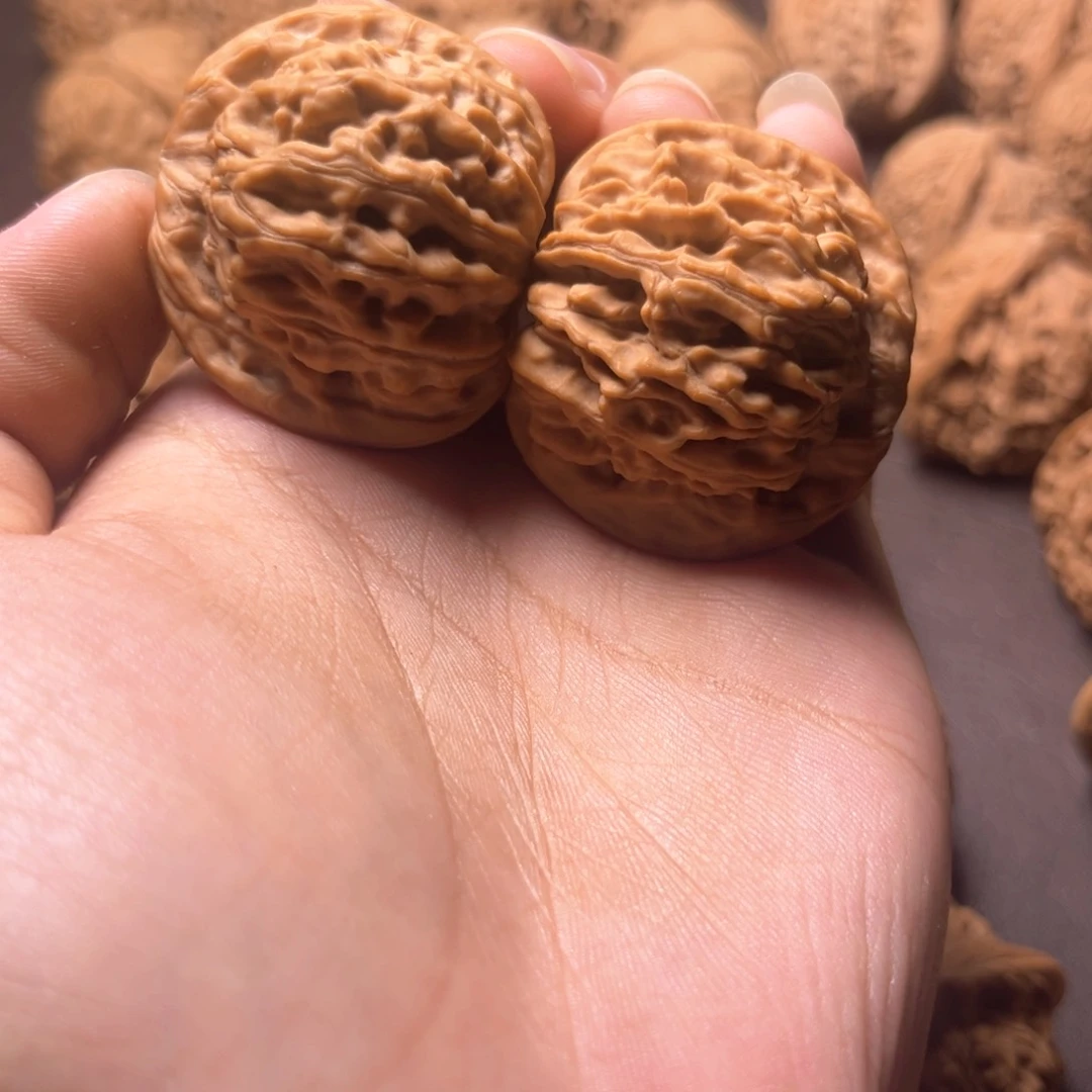 H**恩天地天地天地天地37