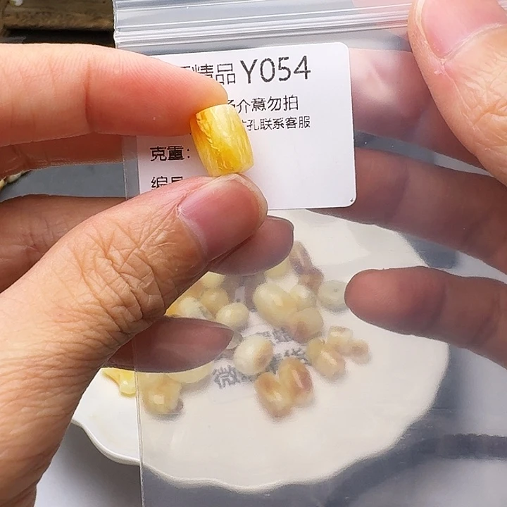 裸石琥珀未镶嵌琥珀