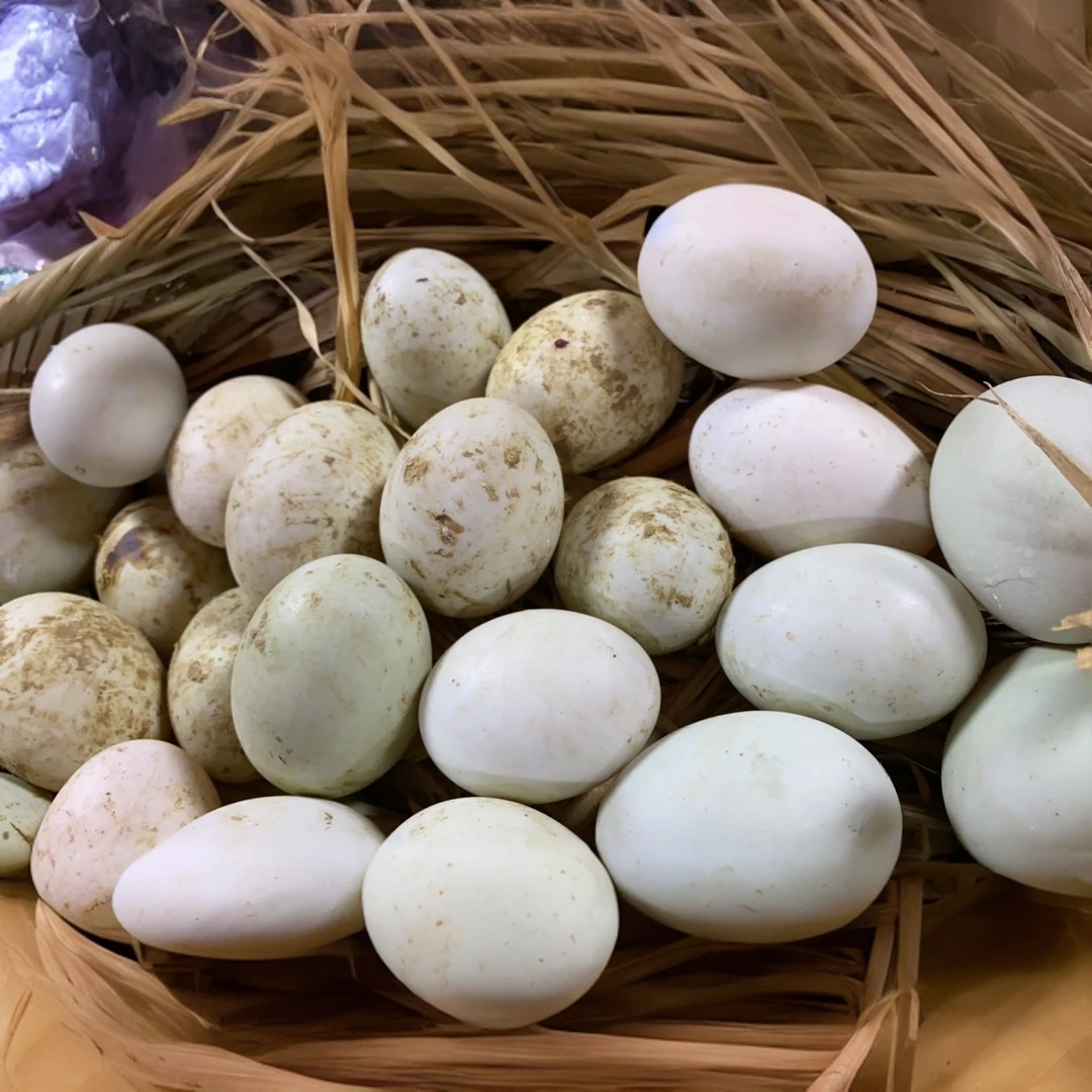 鸭蛋：农家鸭蛋.散养鸭蛋