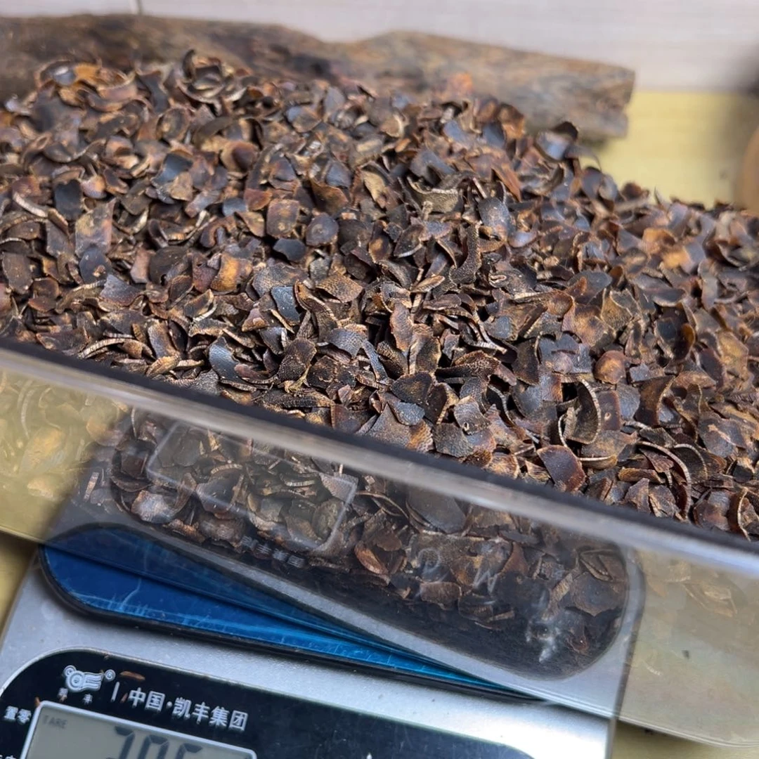 清***茶树脂制品海南尖峰岭原母树陆河沉水树心切片295克