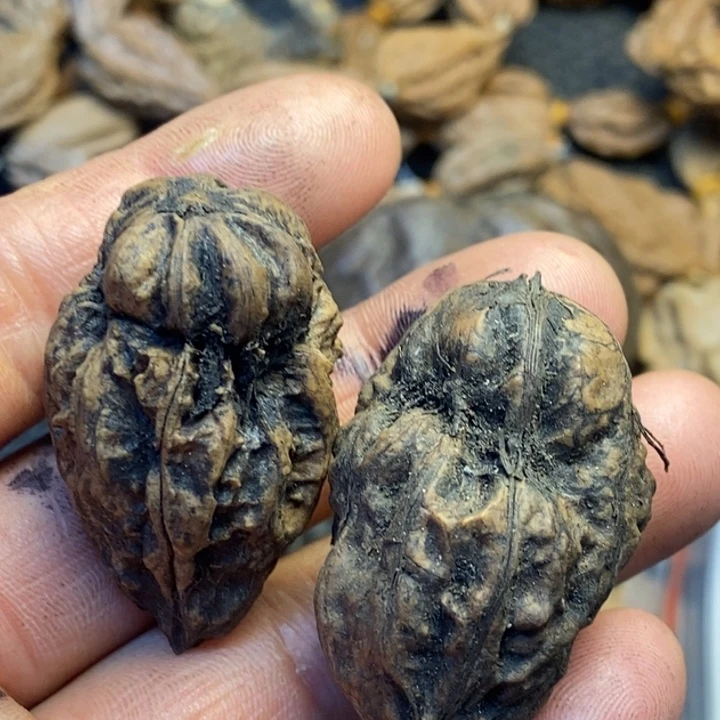 吊坠文玩核桃娜姐224