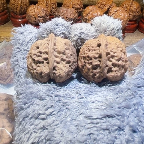 把件文玩核桃太平有象带彩40