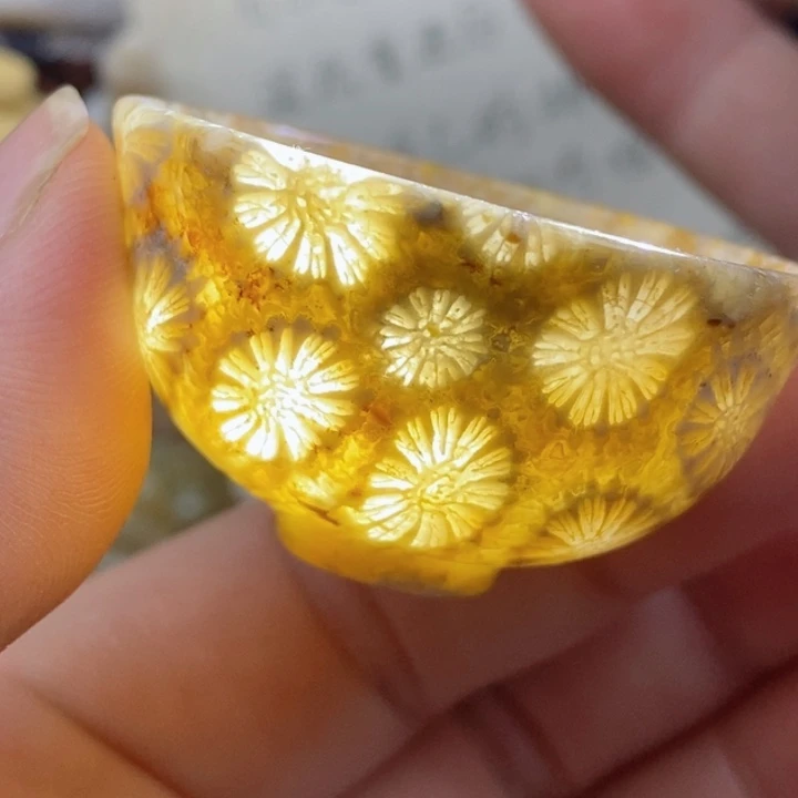 颈饰未镶嵌硅化珊瑚（珊瑚玉）有瑕