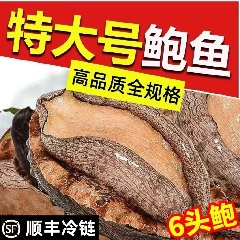 鲜剥特大号无冰鲍鱼肉6头鲍8-9厘米 250克/袋 8只左右 冷链包邮