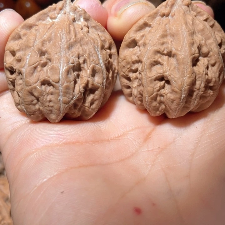 文玩核桃把件东北楸子小雪23