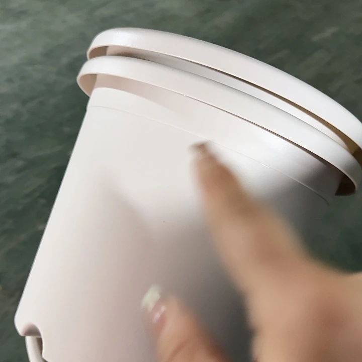 四季5号灰白无托5个