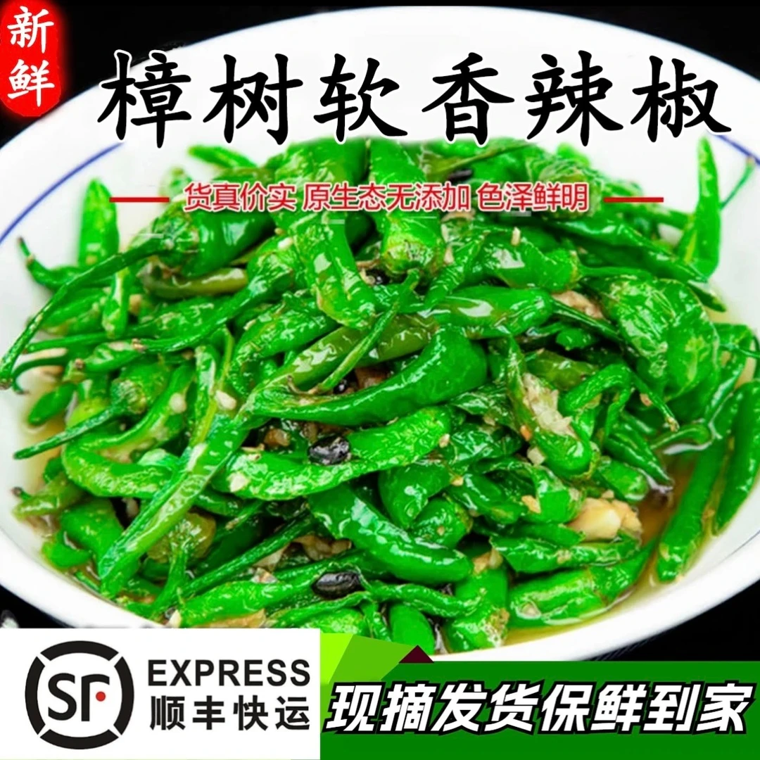【顺丰包邮】正宗樟树品种小辣椒新鲜采摘发货青椒皮薄软糯辣椒炒肉