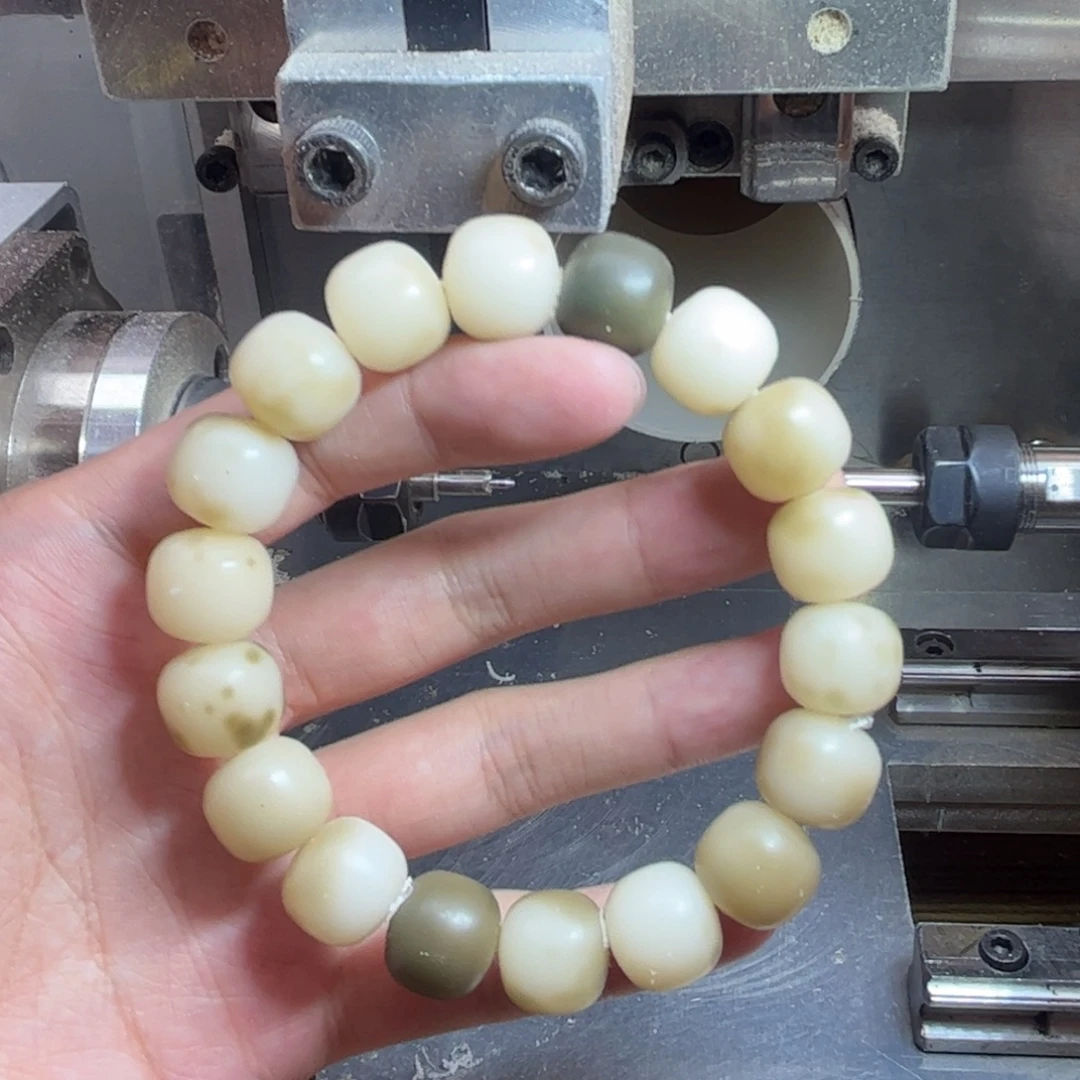 吊坠菩提根/象牙果