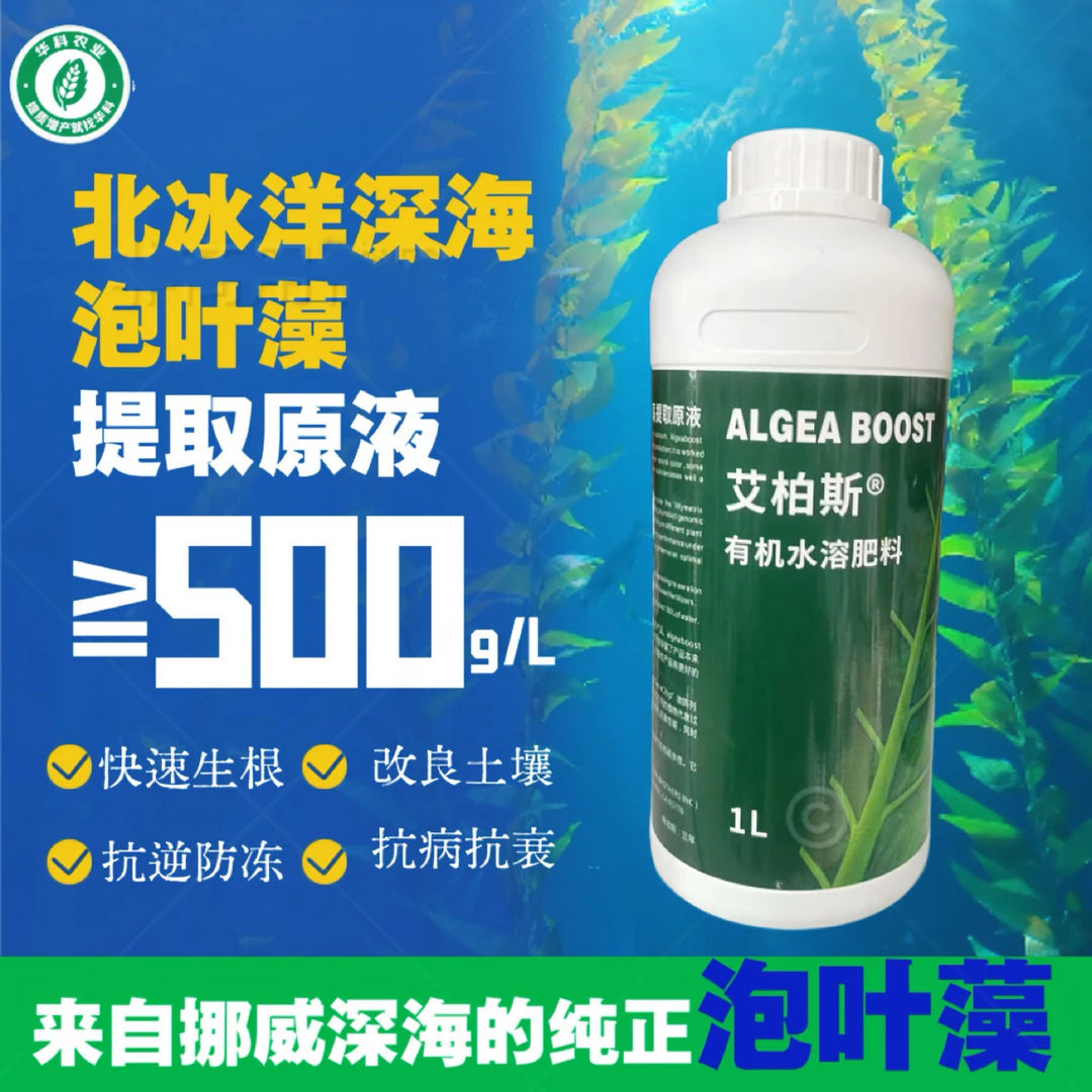 【挪威进口】高含量泡叶藻生根壮苗抗早衰