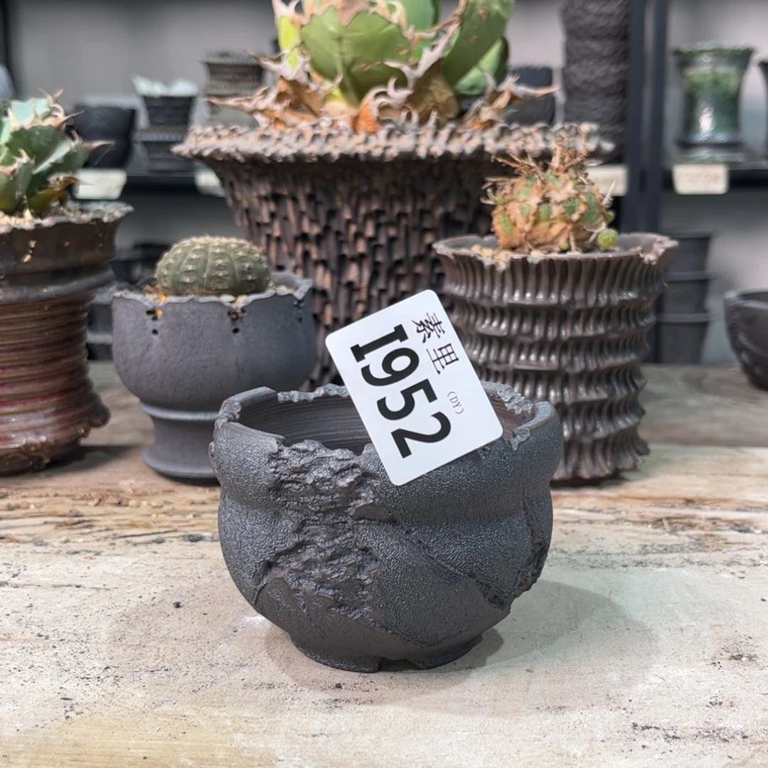 陶内口8.3高6.5景德镇