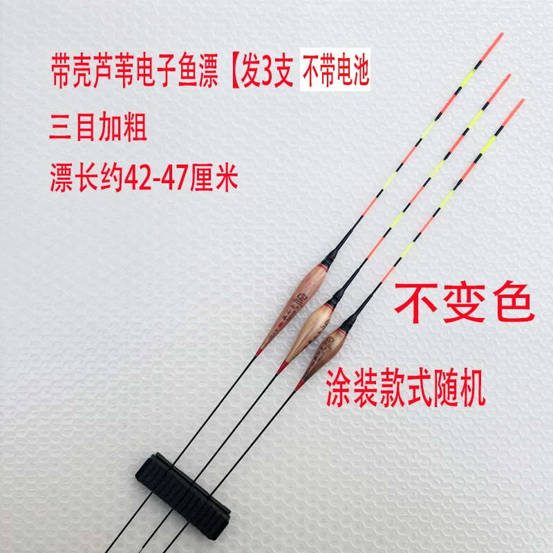 A 61 带壳芦苇电子漂高灵敏鱼漂【三目加粗 】（不变色）