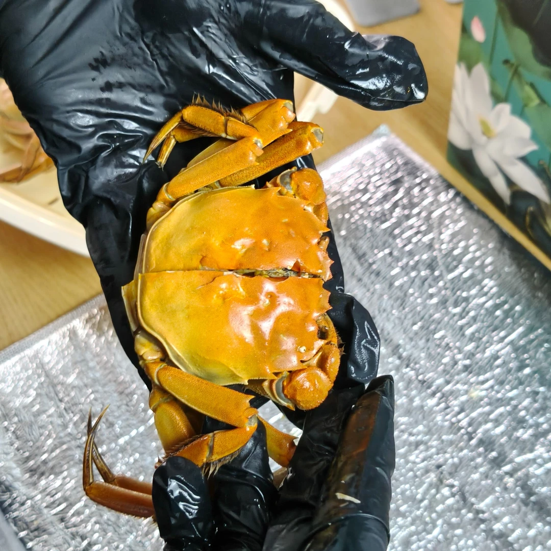 苏州活蟹京东冷链发货母蟹8只规格2两