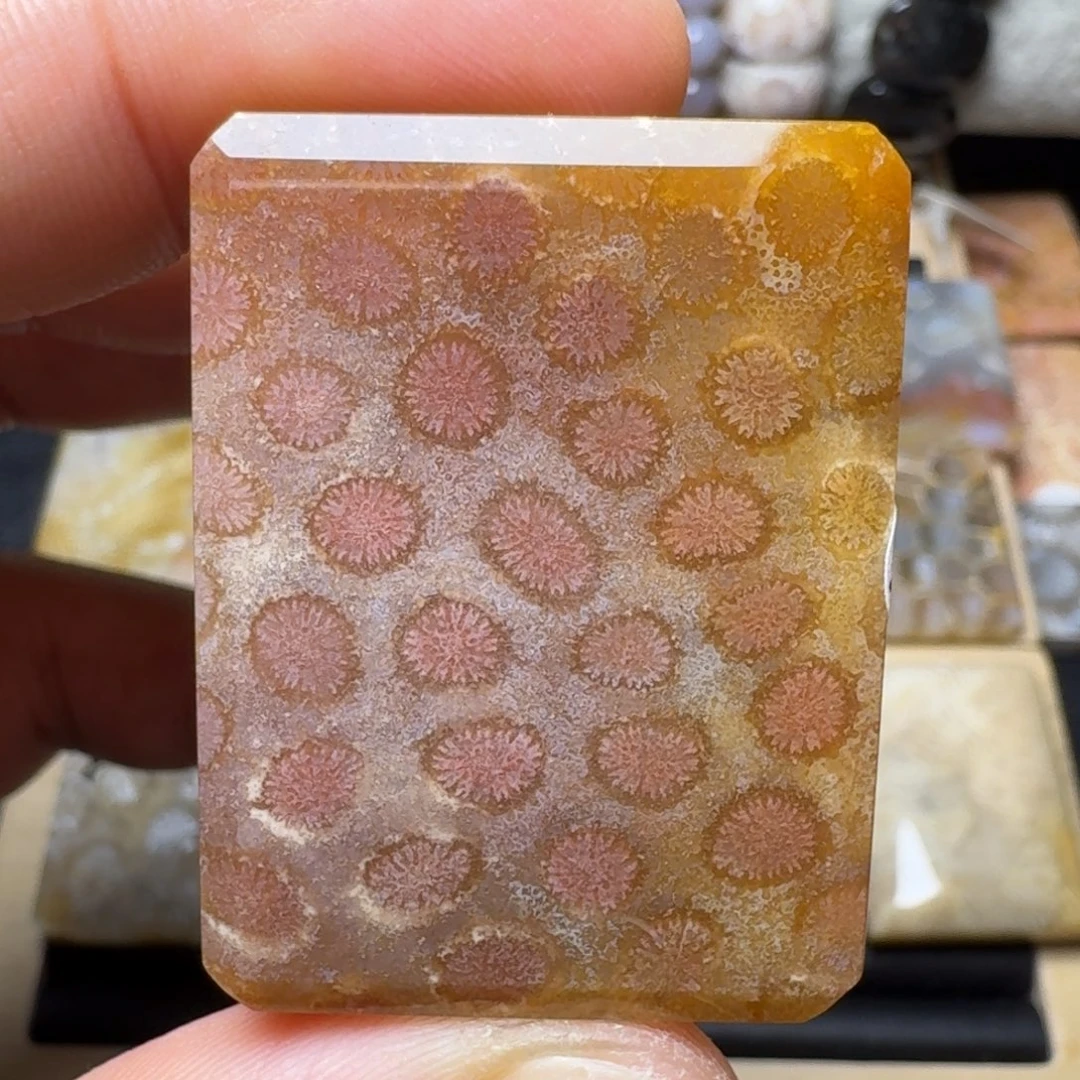 硅化玉未镶嵌纯天然色有机玉石保真色