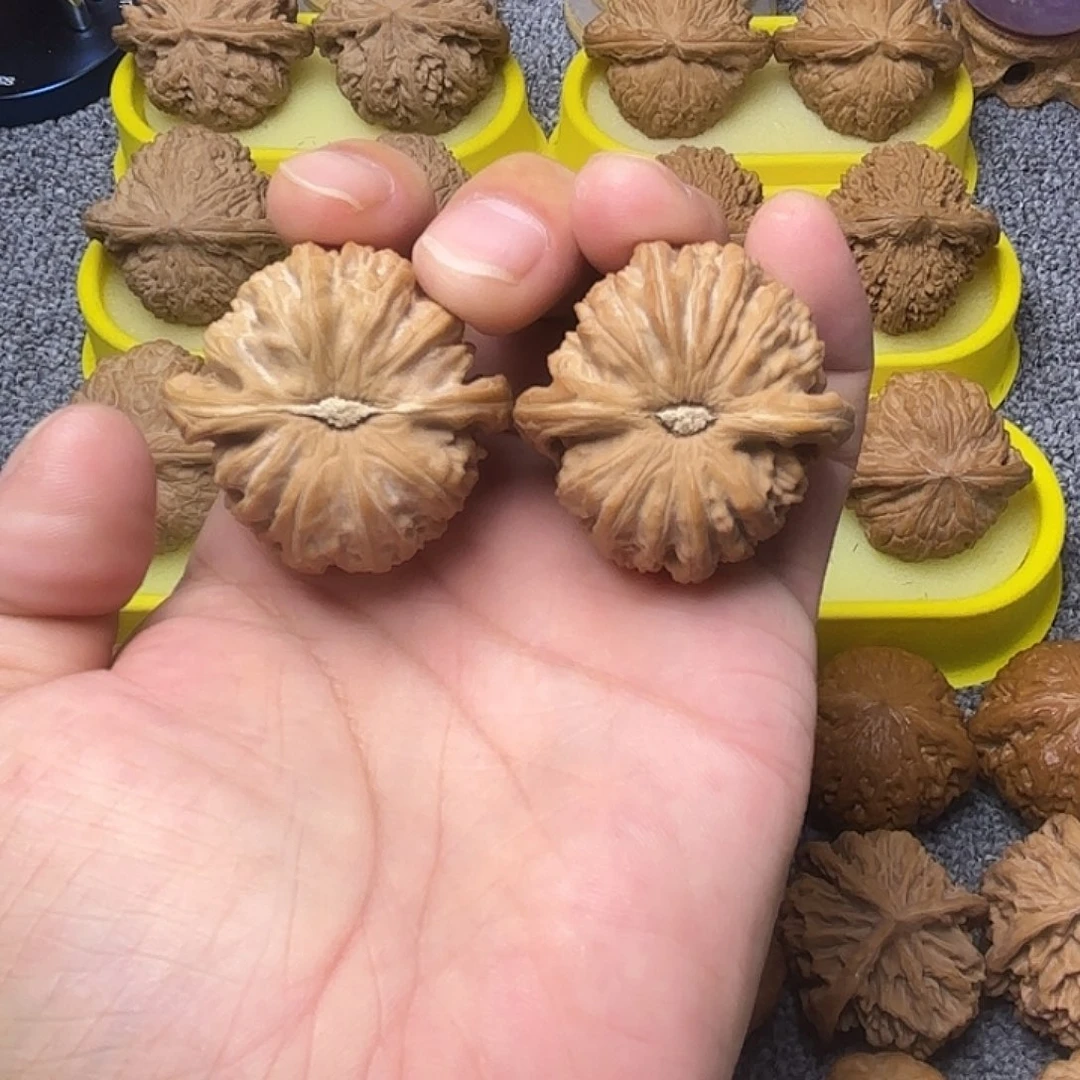 把件文玩核桃42尺，白狮子