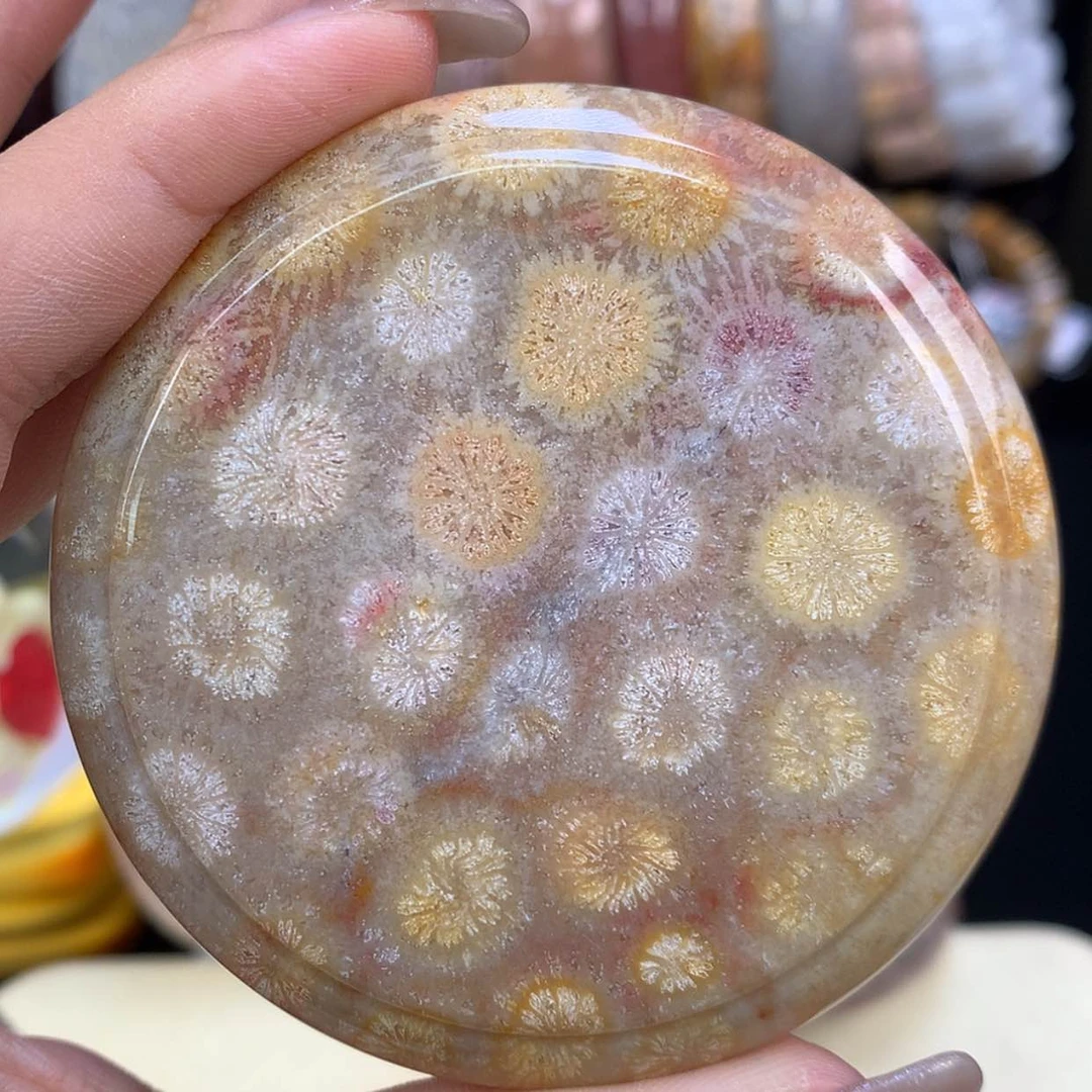 【闪购商品】颈饰未镶嵌硅化珊瑚（珊瑚玉）上新镯饼可做50以下（30号）