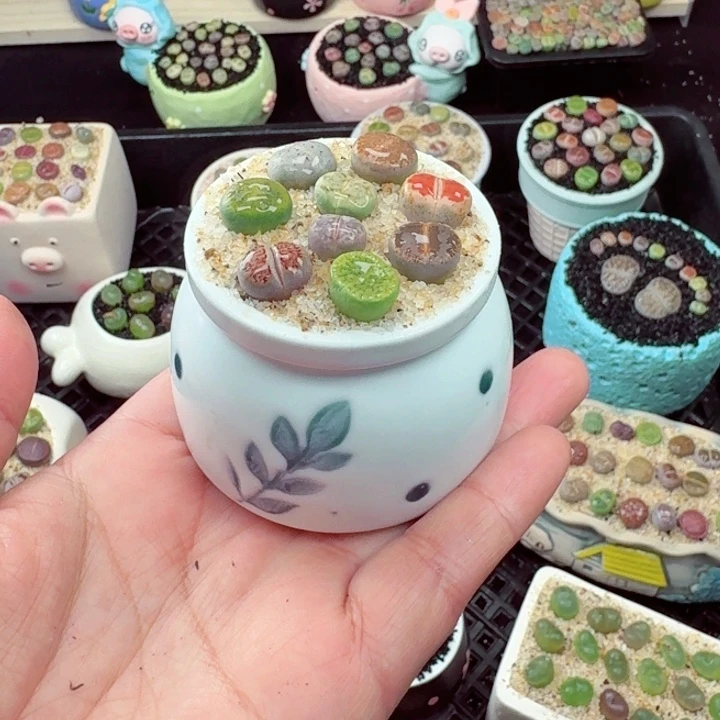 899零下地区记拍保温箱