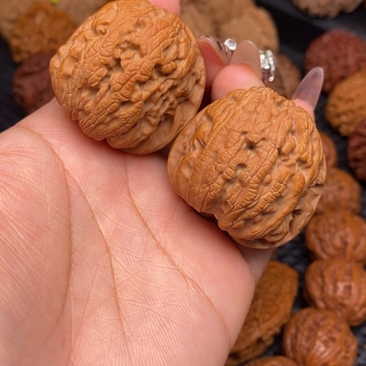 秦岭野生00000000130