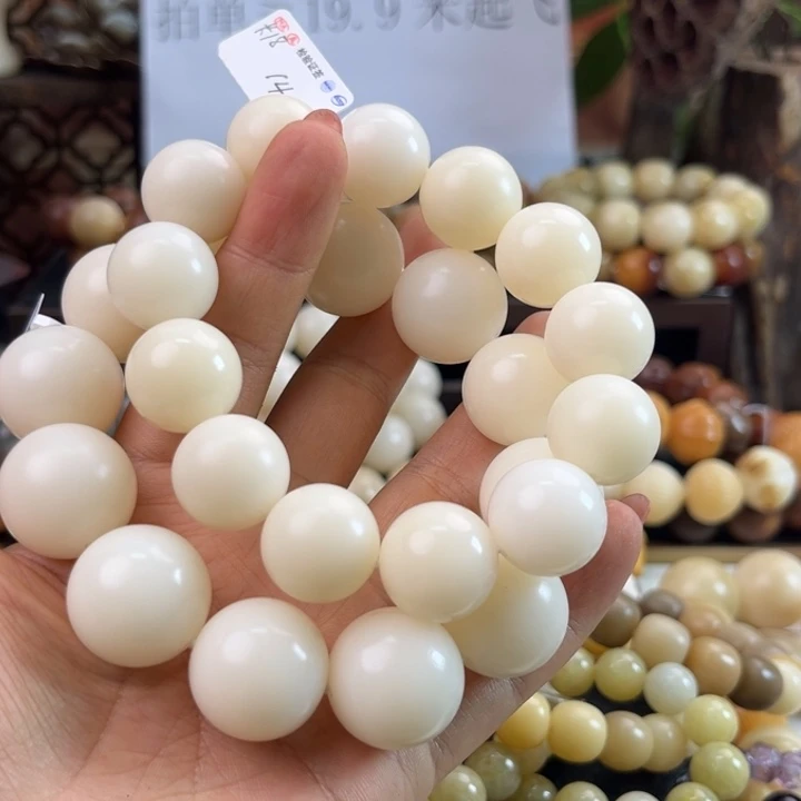 ****了菩提根/象牙果手串两条福利出