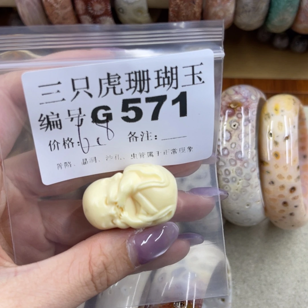 无***念硅化珊瑚（珊瑚玉）未镶嵌h