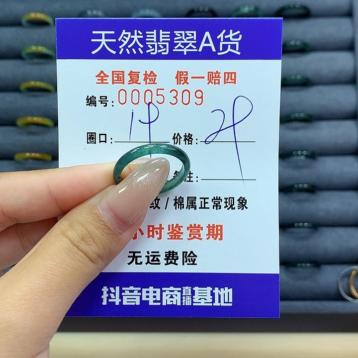 翡翠戒指未镶嵌      5309