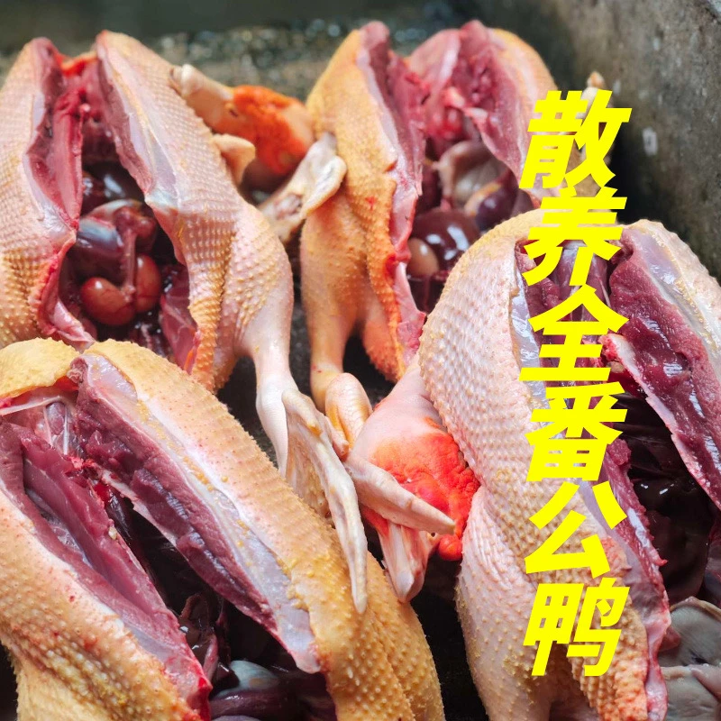 【闽北全番鸭公】福建南平农家散养全番鸭1只宰杀净重发货顺丰包邮