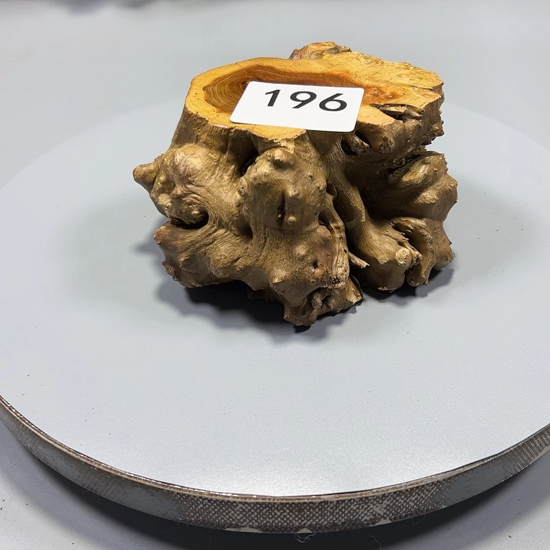 大果紫檀（缅甸花梨）石*