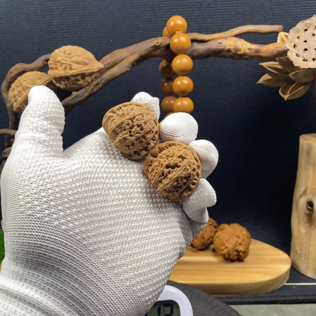 我们的生活方式就是这样