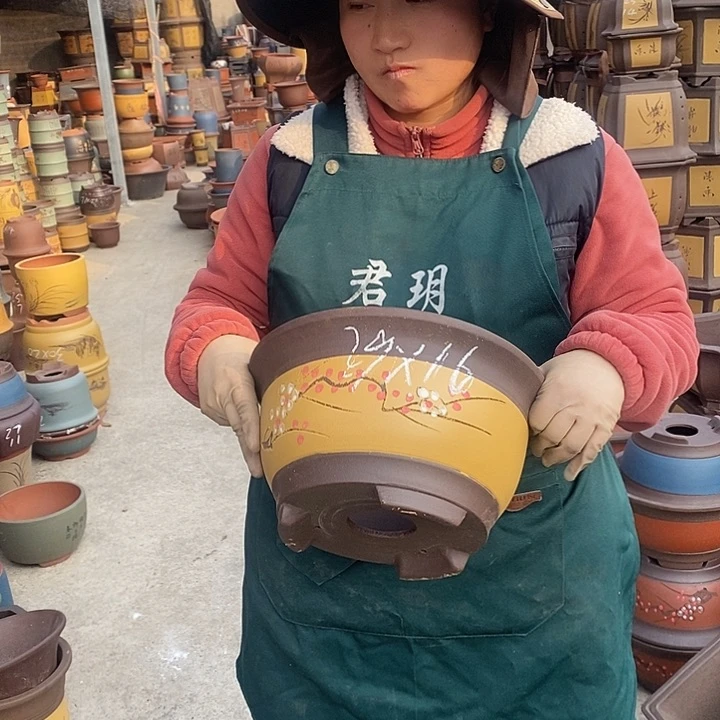 紫砂花盆紫砂花盆