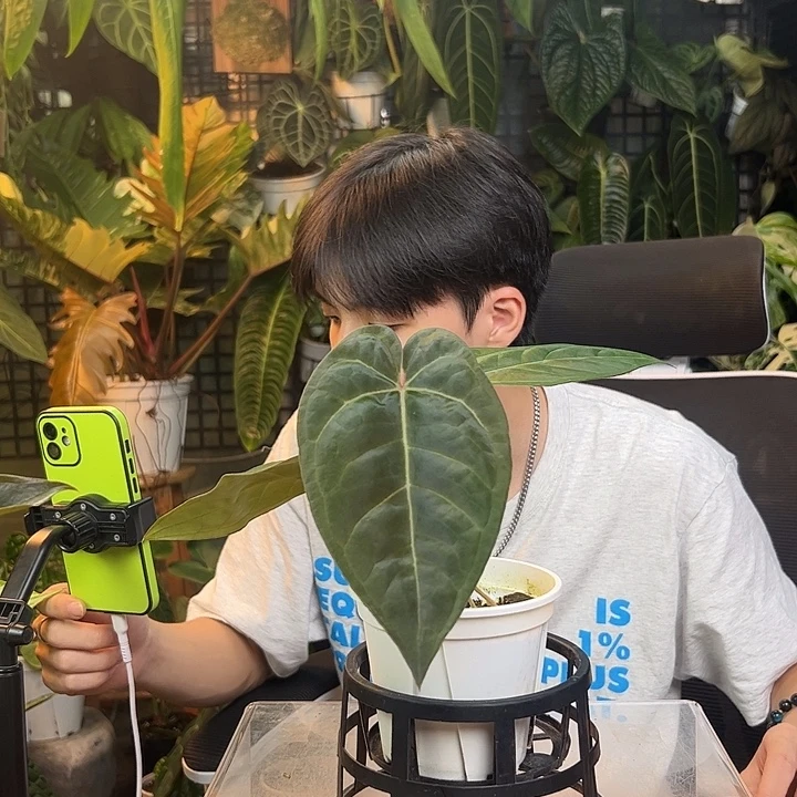 卡***卡完全开放一物一拍J160