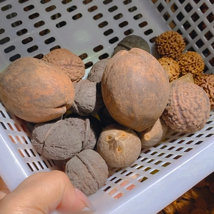 野生大橄榄核把件