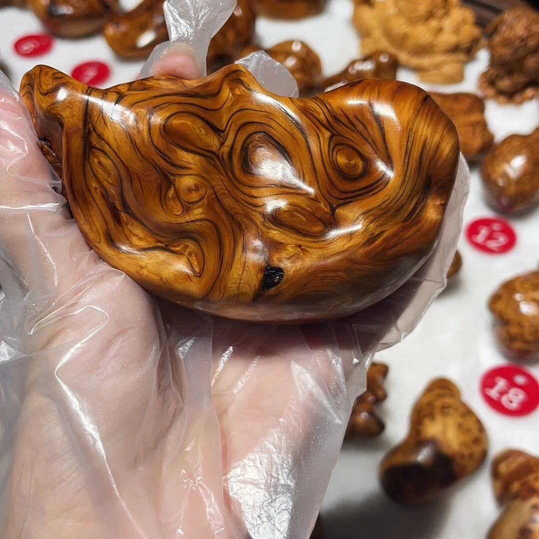 柏木（崖柏）太行崖柏