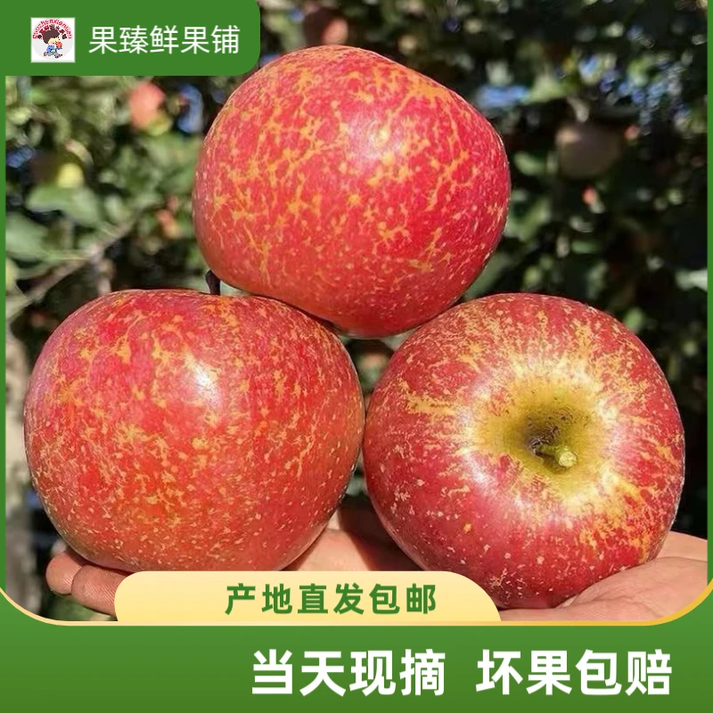 云南正宗冰糖心丑苹果头茬丑苹果脆甜多汁冰糖心新鲜水果