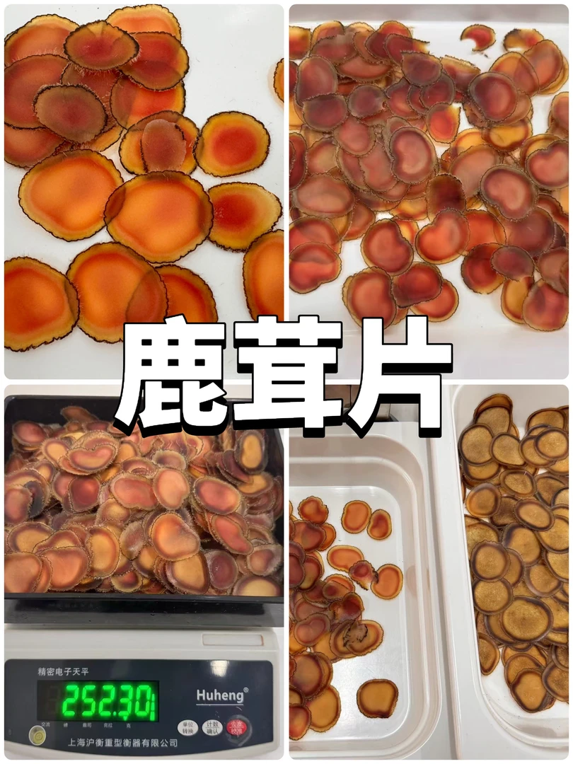 鹿茸丨道地吉林鹿乡产区丨古法非遗技艺加工丨