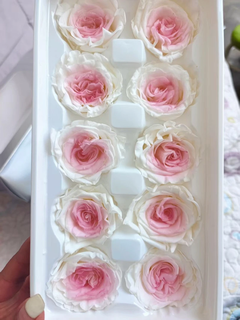 【渐变玫瑰】永生花花束搭配手工DIY永生渐变玫瑰花头粉色蓝色渐变