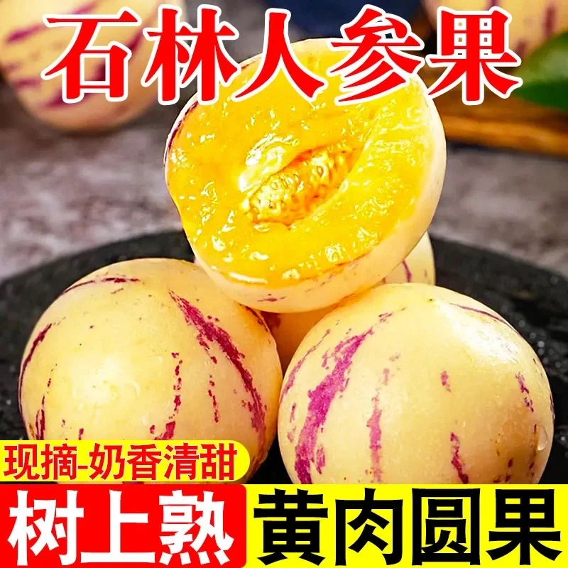 Z云南石林树上熟黄肉果新鲜清甜低糖当季水果