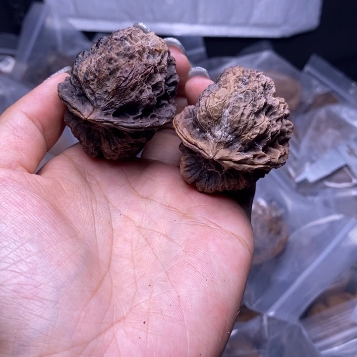 核桃云南野生铁核桃90号43mm