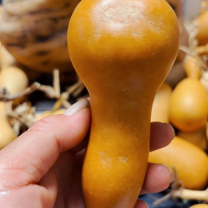 仲***虫888888989999999