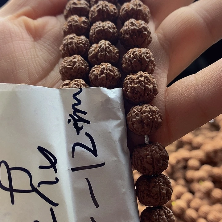 吊坠金刚菩提帝王花11-12+不保