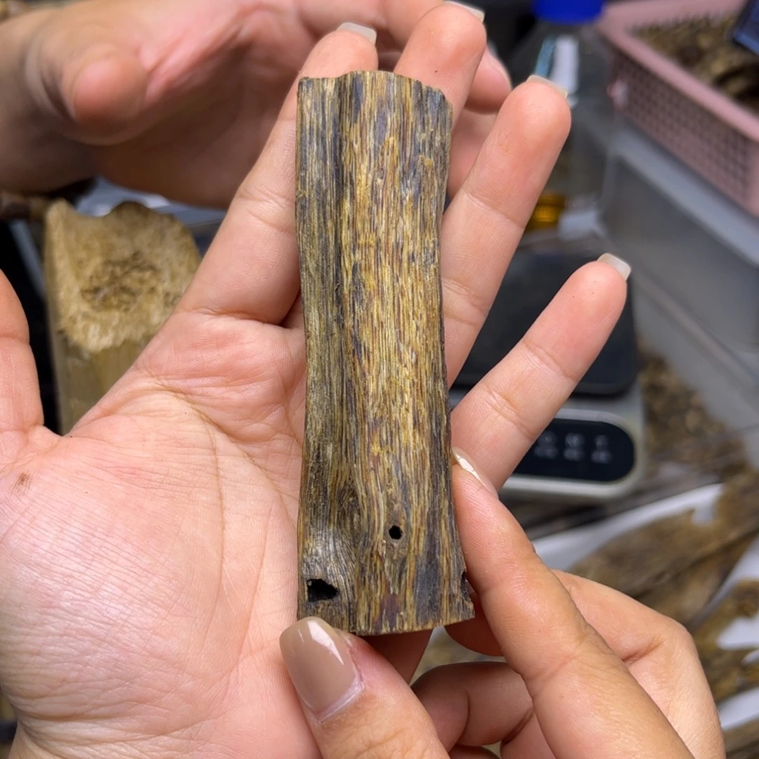 沉香沉香碎屑奇楠沉香熏香黑珍珠虫漏20克