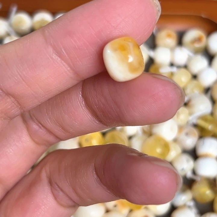 未镶嵌蜜蜡裸石9.4mm一个