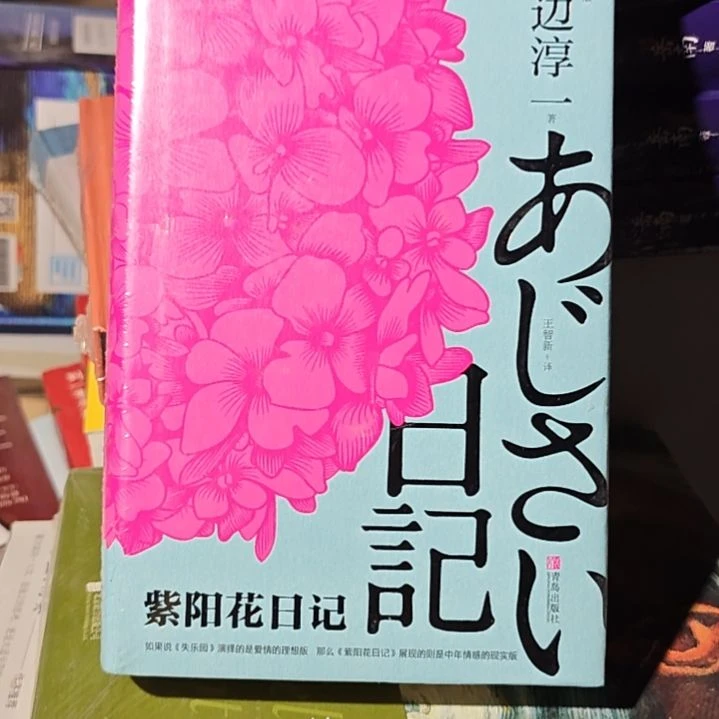 渡边淳一紫阳花日记精装库存书有氧化微瑕介意