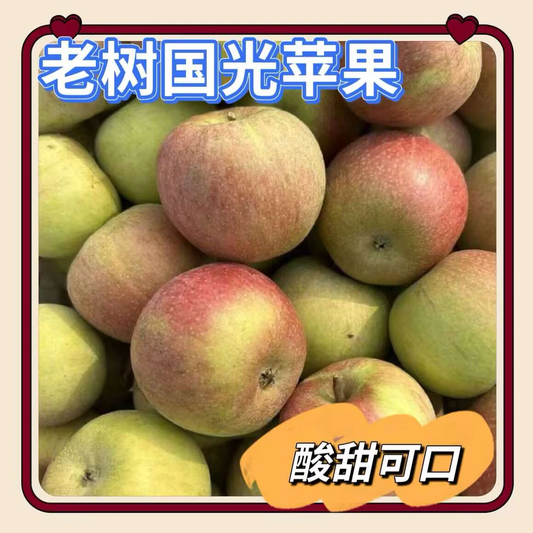 老树国光苹果（偏远专拍）