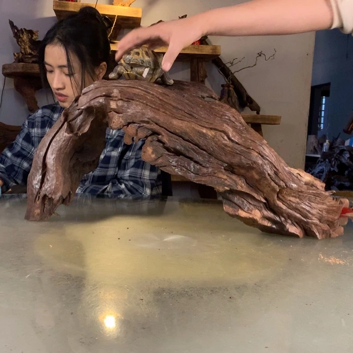 雾***岛天然的云南紫柚木会黄水