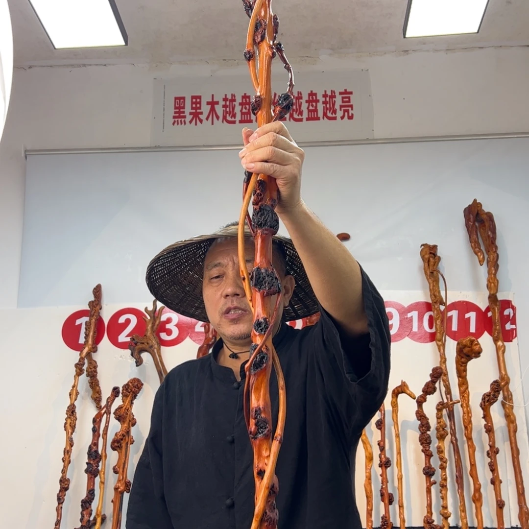 黑果木其他黑果木209