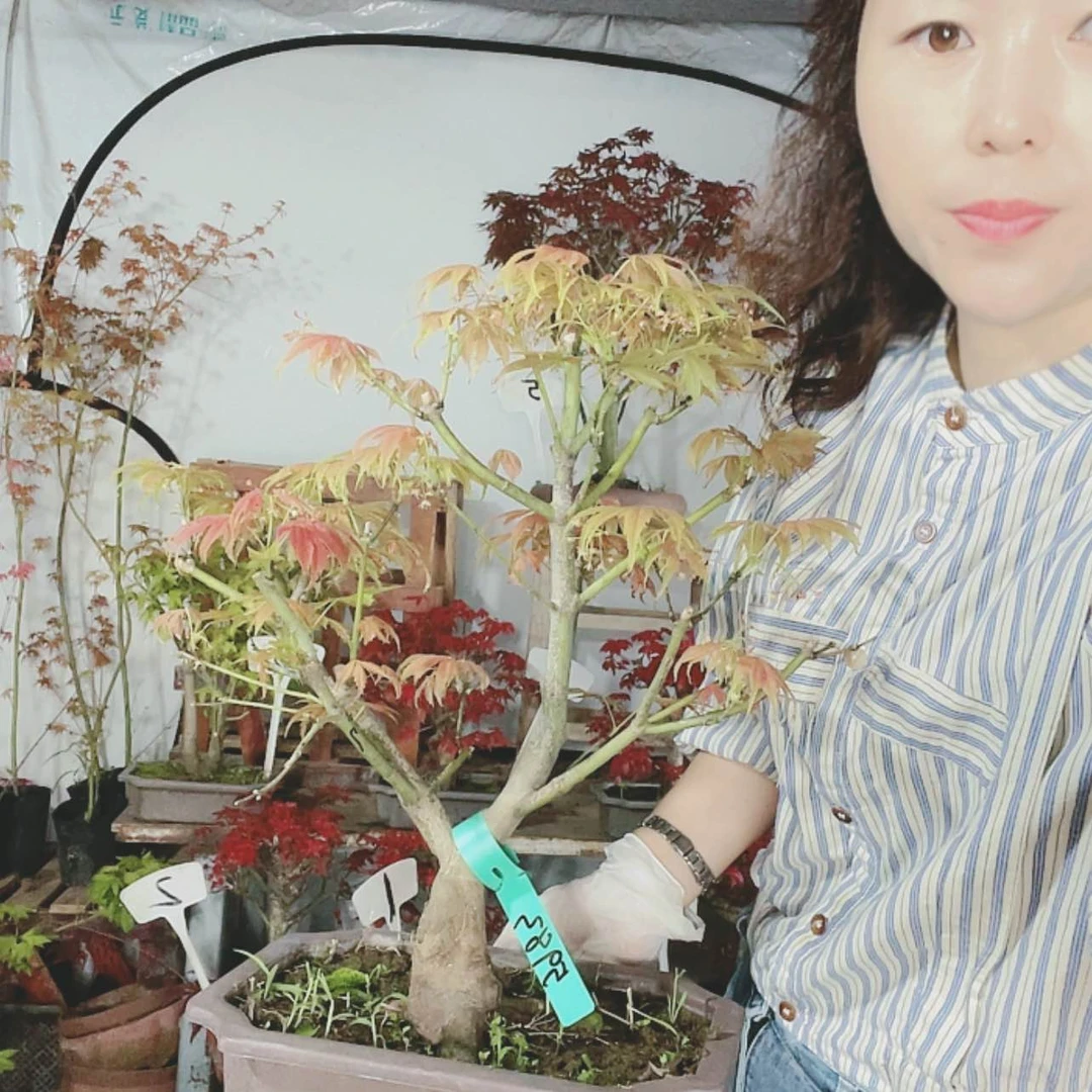 【闪购商品】完全开放赵*二