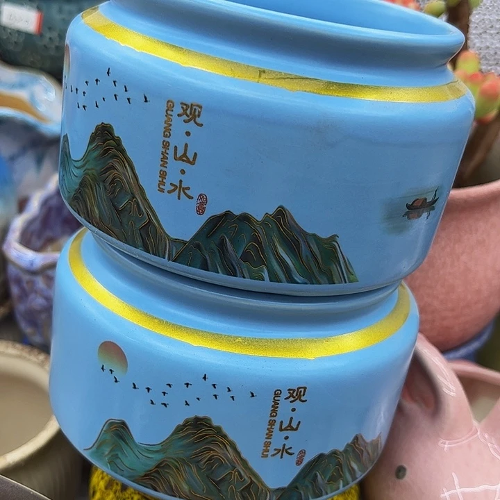 多肉绿植陶瓷花盆9.9包邮，有空