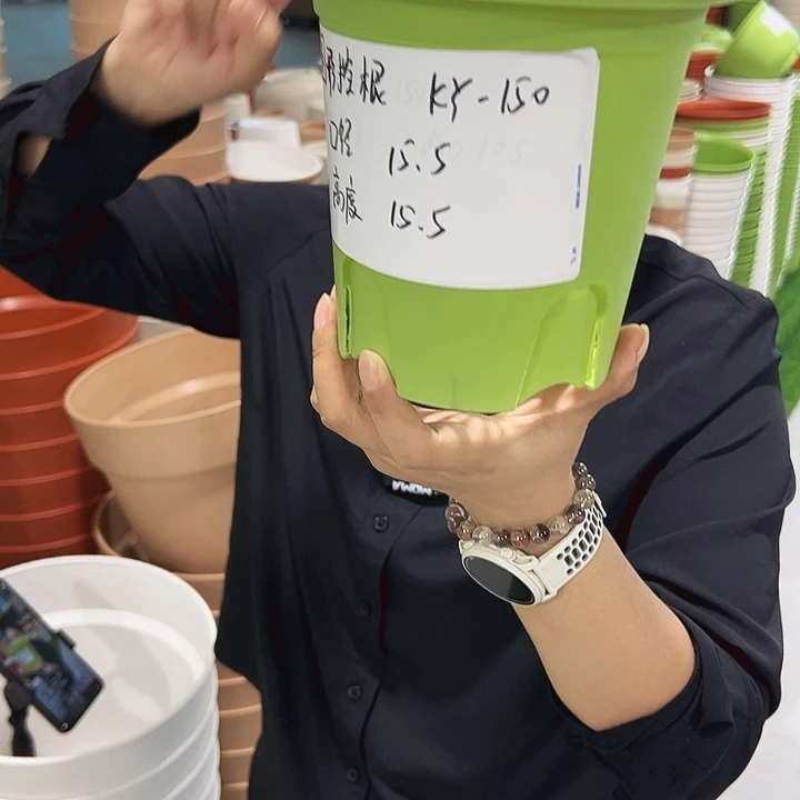 正品圆控口15高15果绿无托10只