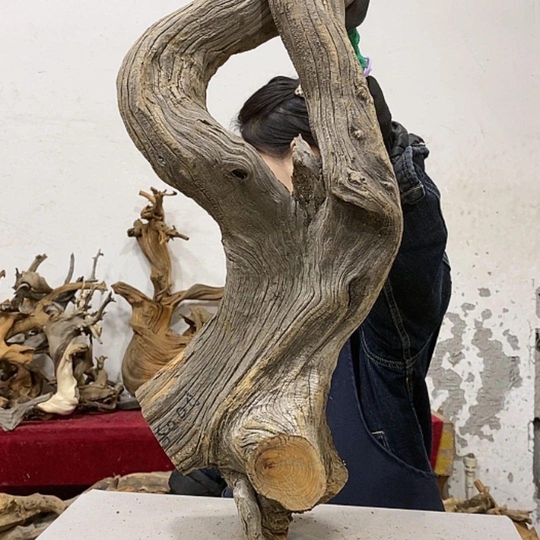 【闪购商品】柏木龍***工我们都是好孩子